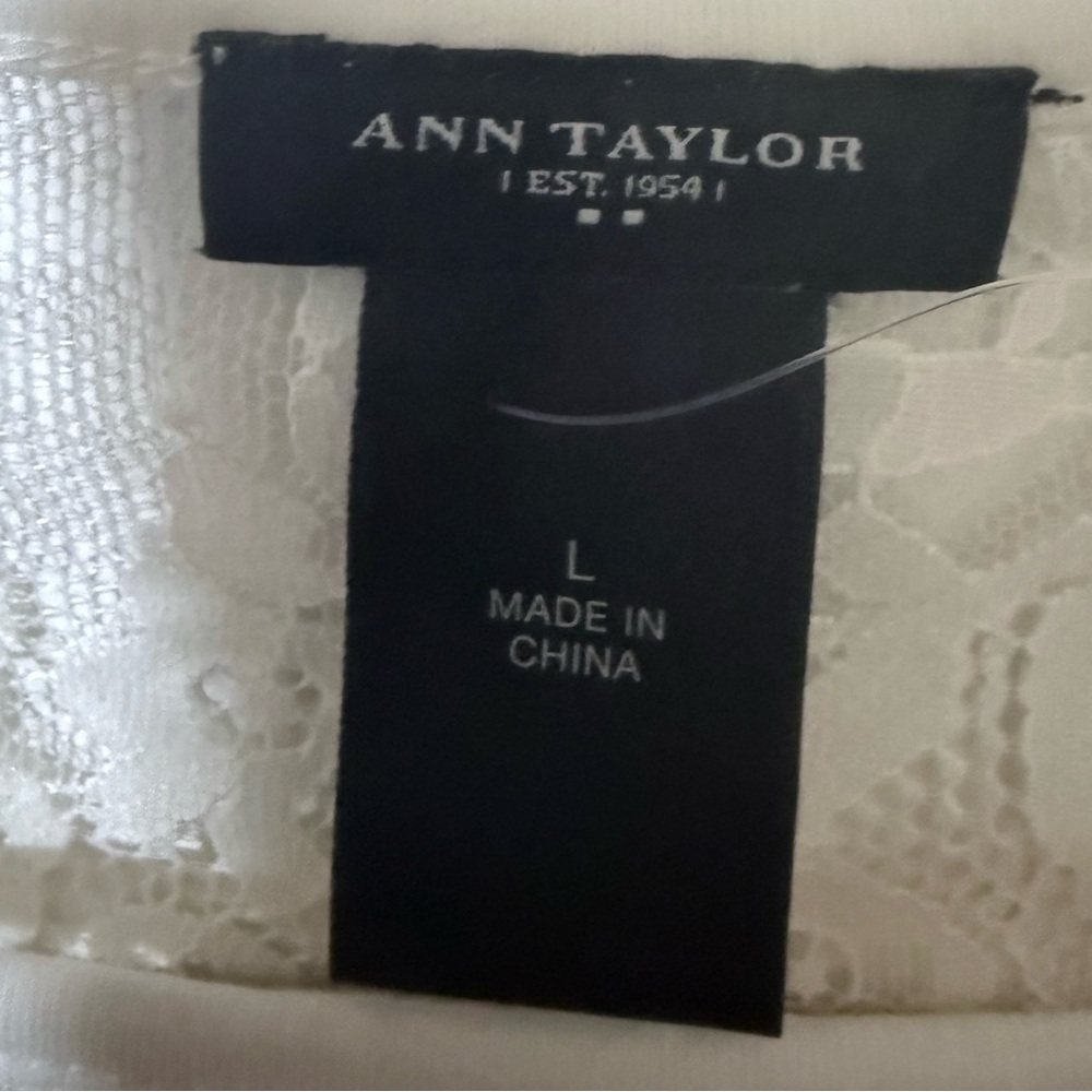 Ann Taylor Lace Yoke Short Sleeve Top Cotton Blend Knit Blouse Large - Picture 3 of 7